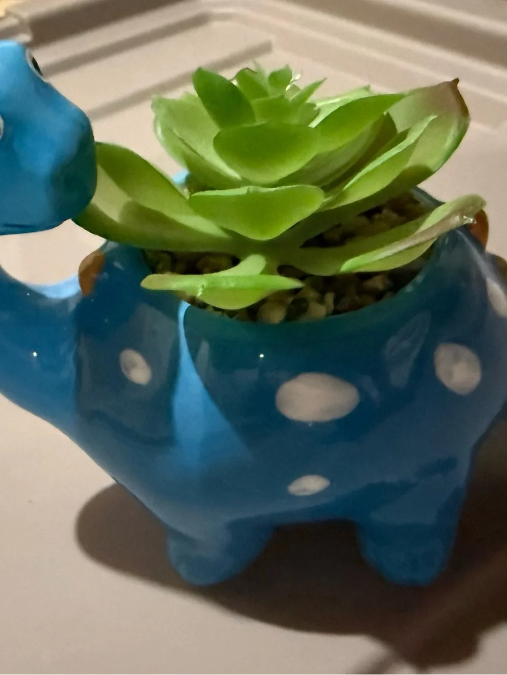 Blue Polka Dot Ceramic Dinosaur Planter with Green Succulent